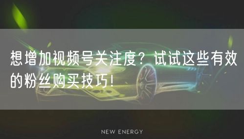 想增加视频号关注度？试试这些有效的粉丝购买技巧！