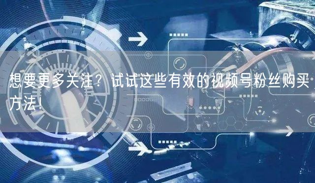 想要更多关注？试试这些有效的视频号粉丝购买方法！