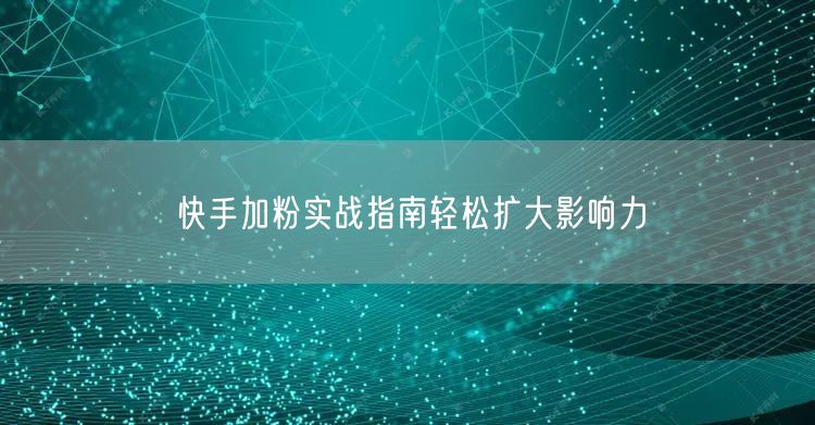 快手加粉实战指南轻松扩大影响力