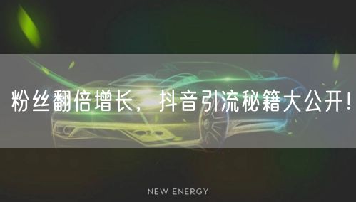 粉丝翻倍增长，抖音引流秘籍大公开！