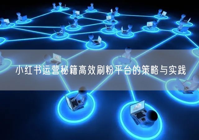 小红书运营秘籍高效刷粉平台的策略与实践