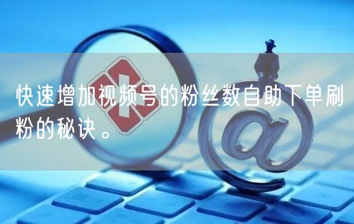 快速增加视频号的粉丝数自助下单刷粉的秘诀。
