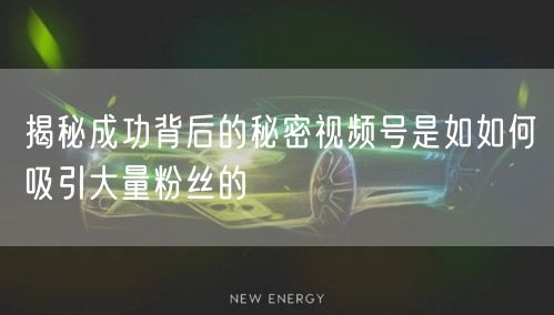 揭秘成功背后的秘密视频号是如如何吸引大量粉丝的