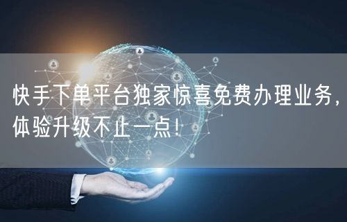 快手下单平台独家惊喜免费办理业务，体验升级不止一点！