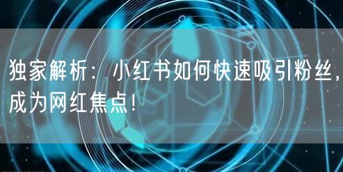 独家解析：小红书如何快速吸引粉丝，成为网红焦点！